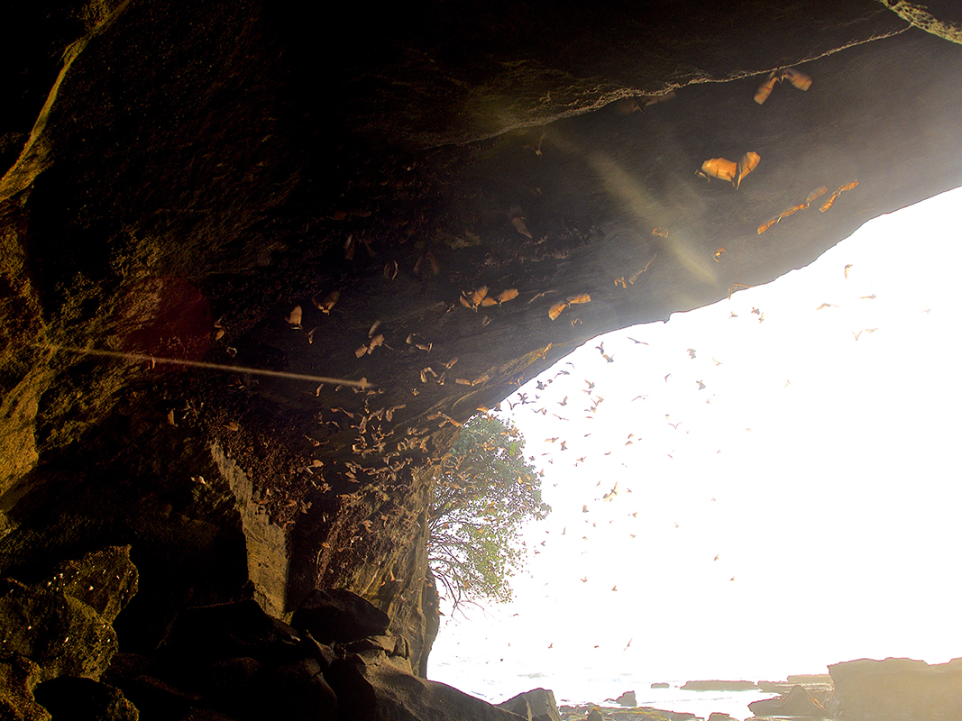 the bat cave of secret beach in balian balio - Eine Reise mit Freunden