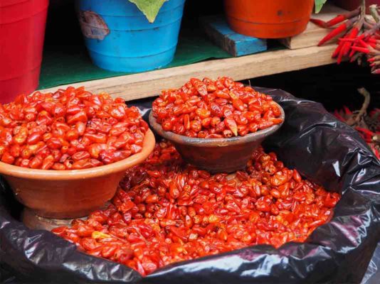 Mexican heat 534x400 - Salsa Roja